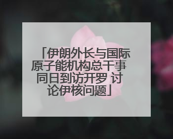 伊朗外长与国际原子能机构总干事同日到访开罗 讨论伊核问题