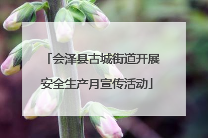 会泽县古城街道开展安全生产月宣传活动