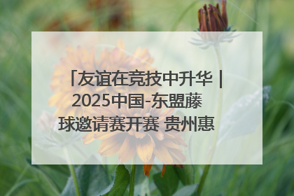 友谊在竞技中升华｜2025中国-东盟藤球邀请赛开赛 贵州惠水燃动“空中芭蕾”