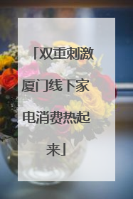 双重刺激厦门线下家电消费热起来