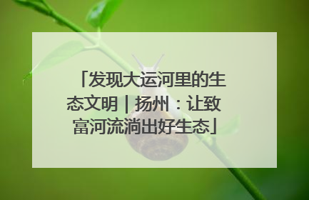 发现大运河里的生态文明｜扬州：让致富河流淌出好生态