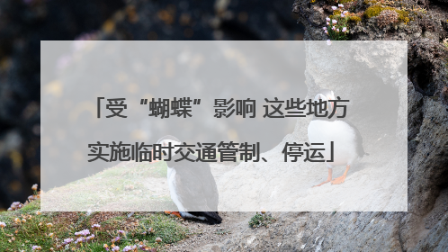 受“蝴蝶”影响 这些地方实施临时交通管制、停运