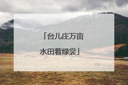 台儿庄万亩水田着绿裳