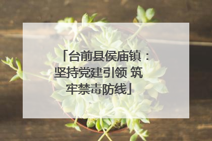 台前县侯庙镇：坚持党建引领 筑牢禁毒防线