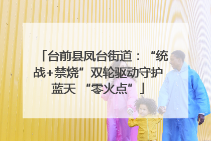 台前县凤台街道：“统战+禁烧”双轮驱动守护蓝天 “零火点”