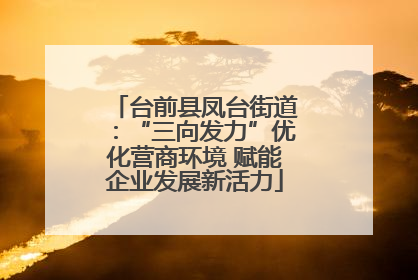 台前县凤台街道：“三向发力”优化营商环境 赋能企业发展新活力