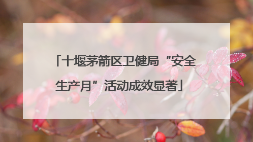 十堰茅箭区卫健局“安全生产月”活动成效显著