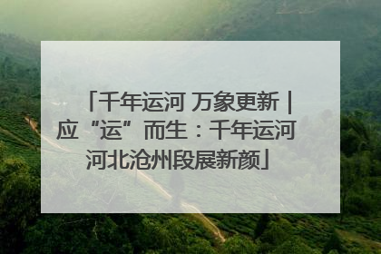千年运河 万象更新｜应“运”而生：千年运河河北沧州段展新颜