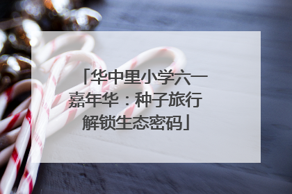 华中里小学六一嘉年华：种子旅行解锁生态密码