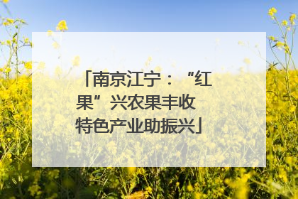 南京江宁：“红果”兴农果丰收 特色产业助振兴