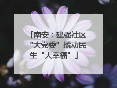 南安：建强社区“大党委”撬动民生“大幸福”