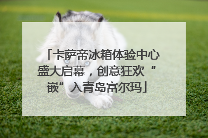 卡萨帝冰箱体验中心盛大启幕，创意狂欢“嵌”入青岛富尔玛