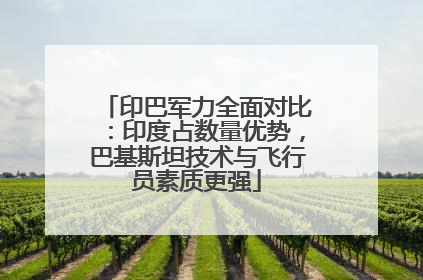 印巴军力全面对比：印度占数量优势，巴基斯坦技术与飞行员素质更强