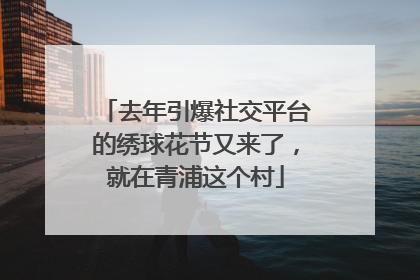 去年引爆社交平台的绣球花节又来了，就在青浦这个村