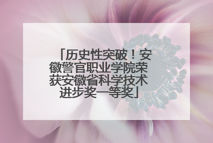 历史性突破！安徽警官职业学院荣获安徽省科学技术进步奖一等奖