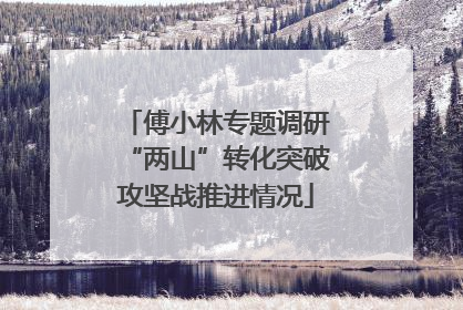 傅小林专题调研“两山”转化突破攻坚战推进情况