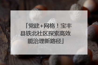 党建+网格！宝丰县铁北社区探索高效能治理新路径