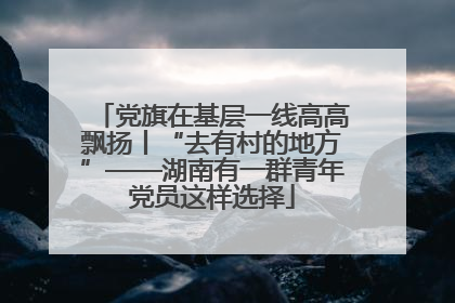 党旗在基层一线高高飘扬丨“去有村的地方”——湖南有一群青年党员这样选择