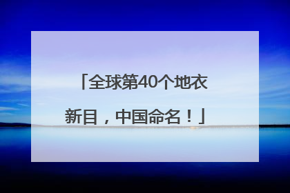全球第40个地衣新目，中国命名！