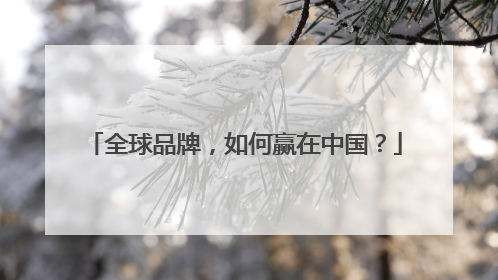 全球品牌，如何赢在中国？