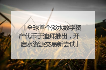 全球首个淡水数字资产代币于迪拜推出，开启水资源交易新尝试