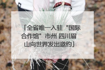 全省唯一入驻“国际合作馆”市州 四川眉山向世界发出邀约