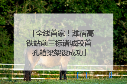 全线首家！潍宿高铁站前三标诸城段首孔箱梁架设成功