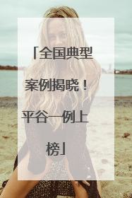 全国典型案例揭晓！平谷一例上榜