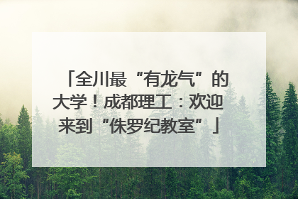 全川最“有龙气”的大学！成都理工：欢迎来到“侏罗纪教室”