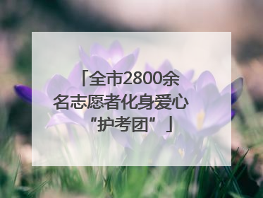全市2800余名志愿者化身爱心“护考团”