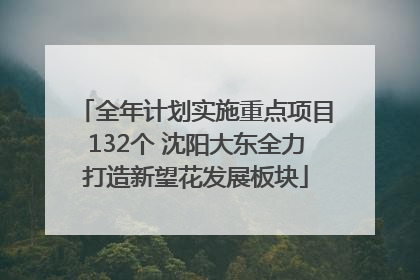 全年计划实施重点项目132个 沈阳大东全力打造新望花发展板块