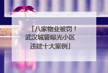 八家物业被罚！武汉城管曝光小区违建十大案例