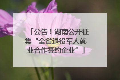 公告！湖南公开征集“全省退役军人就业合作签约企业”