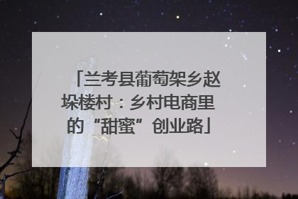 兰考县葡萄架乡赵垛楼村：乡村电商里的“甜蜜”创业路