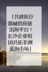 共建医疗器械供应链出海平台！长沙企业组团共拓非洲蓝海市场