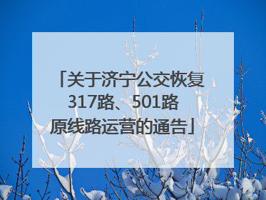 关于济宁公交恢复317路、501路原线路运营的通告