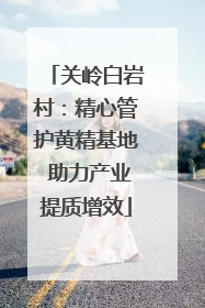关岭白岩村：精心管护黄精基地 助力产业提质增效