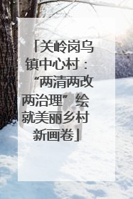 关岭岗乌镇中心村：“两清两改两治理”绘就美丽乡村新画卷