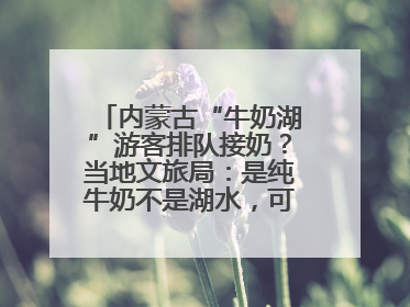 内蒙古“牛奶湖”游客排队接奶？当地文旅局：是纯牛奶不是湖水，可放心喝