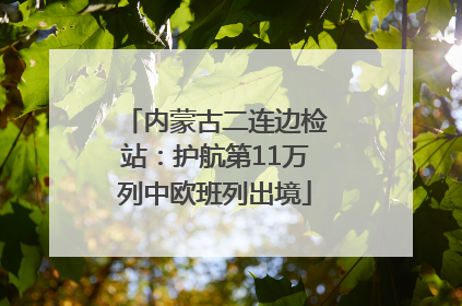 内蒙古二连边检站：护航第11万列中欧班列出境