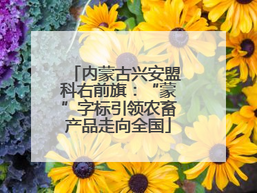 内蒙古兴安盟科右前旗：“蒙”字标引领农畜产品走向全国