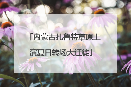 内蒙古扎鲁特草原上演夏日转场大迁徙