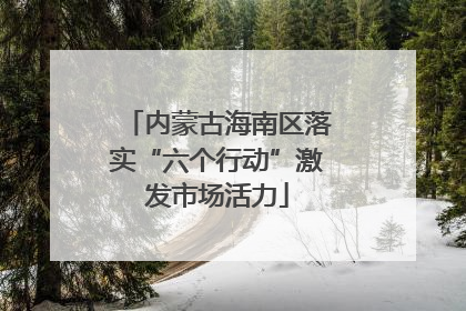 内蒙古海南区落实“六个行动”激发市场活力