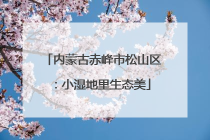 内蒙古赤峰市松山区：小湿地里生态美