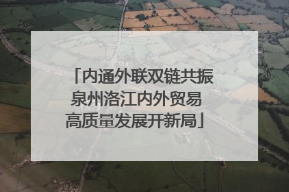 内通外联双链共振 泉州洛江内外贸易高质量发展开新局