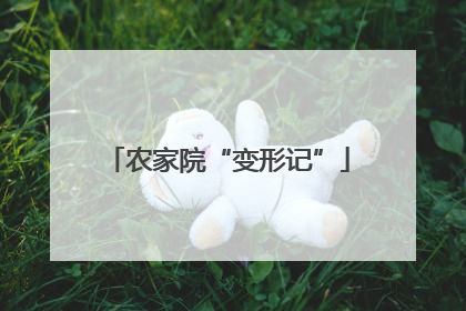 农家院“变形记”