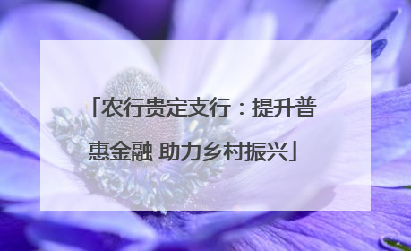 农行贵定支行：提升普惠金融 助力乡村振兴