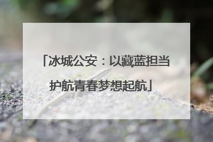 冰城公安：以藏蓝担当 护航青春梦想起航