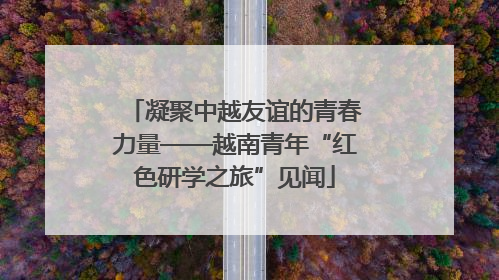 凝聚中越友谊的青春力量——越南青年“红色研学之旅”见闻