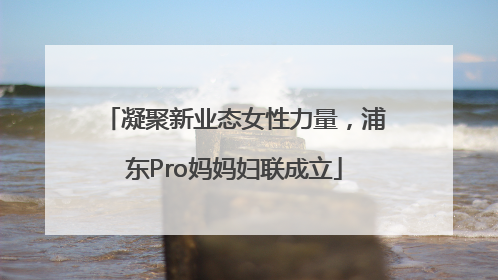 凝聚新业态女性力量，浦东Pro妈妈妇联成立